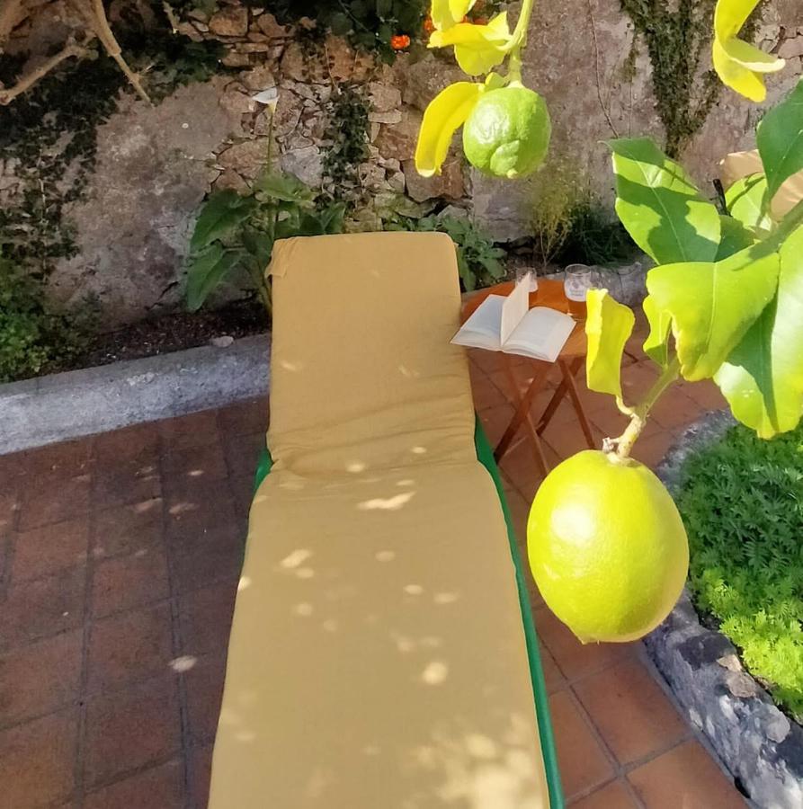 Cerca De La Playa, Con Bodega, Terraza Y Jardin Camino Portugues Apartment A Guarda Exterior photo